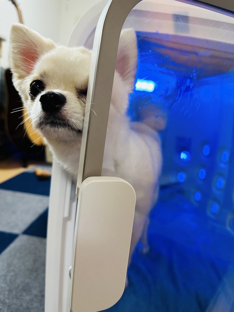 えとひ