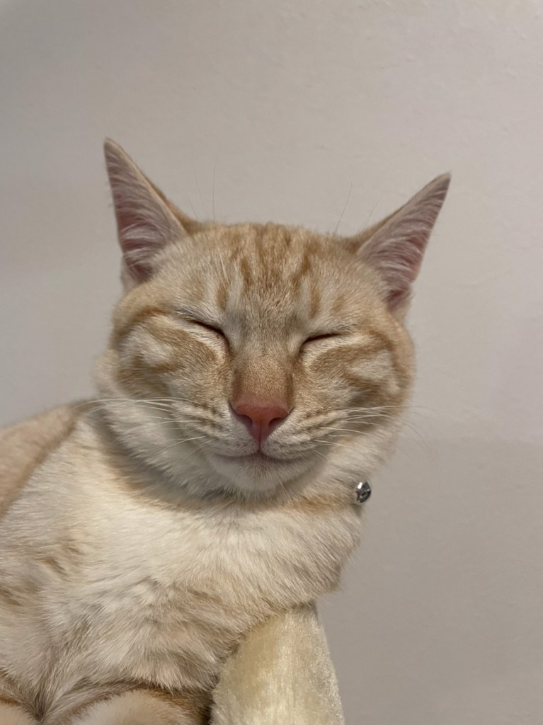 みかぴん