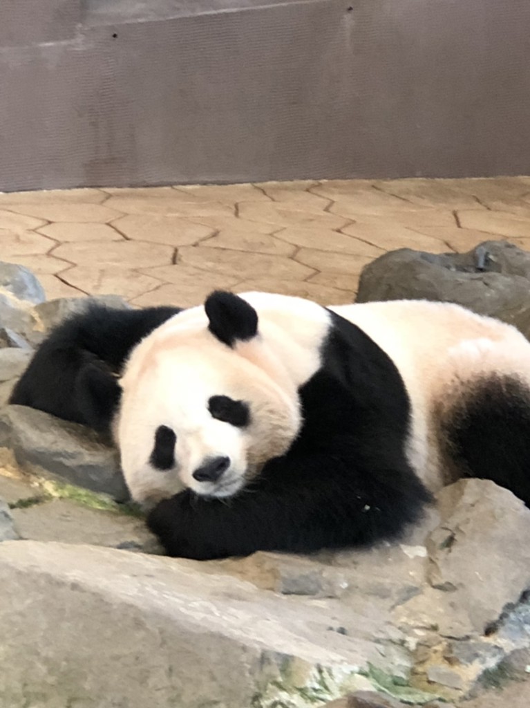 山ちゃん