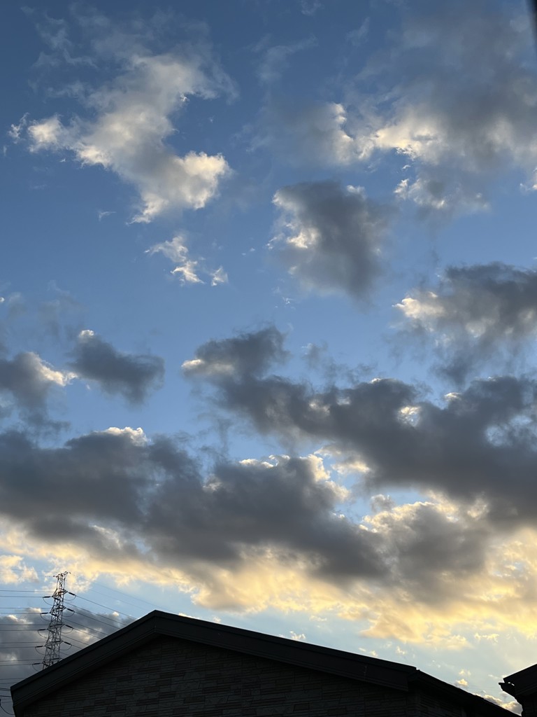 すみ