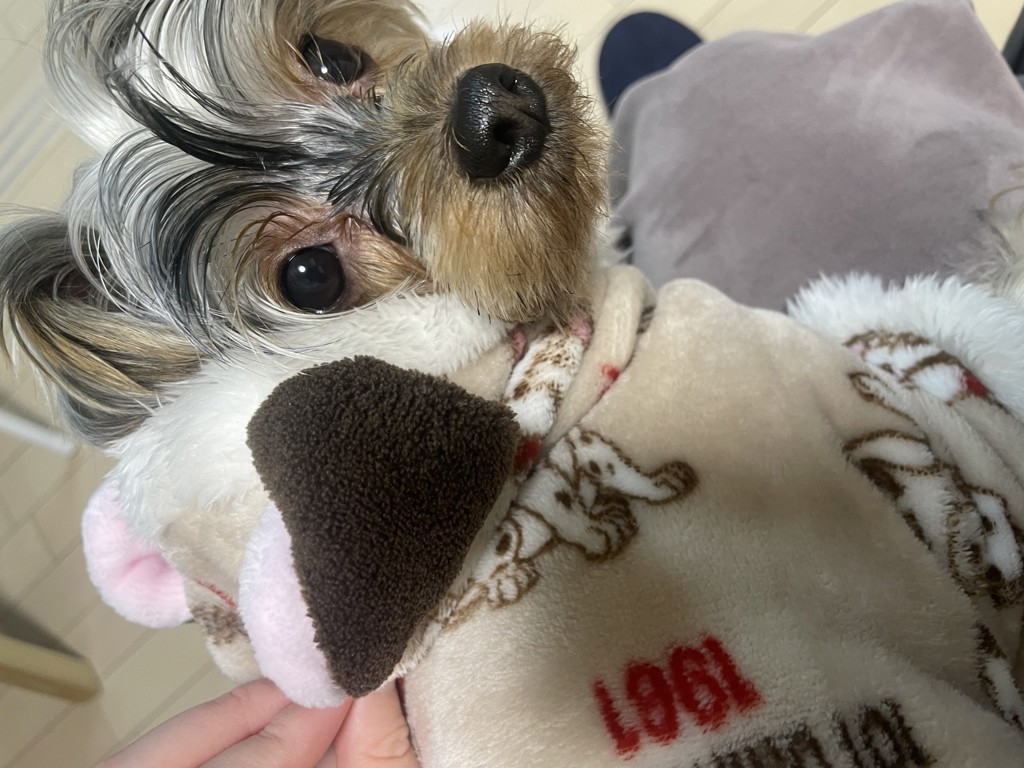 モア