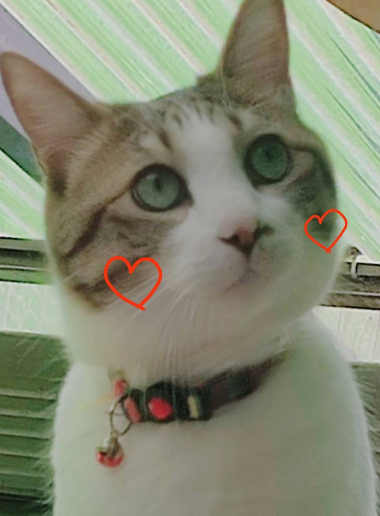 らんちくんママ