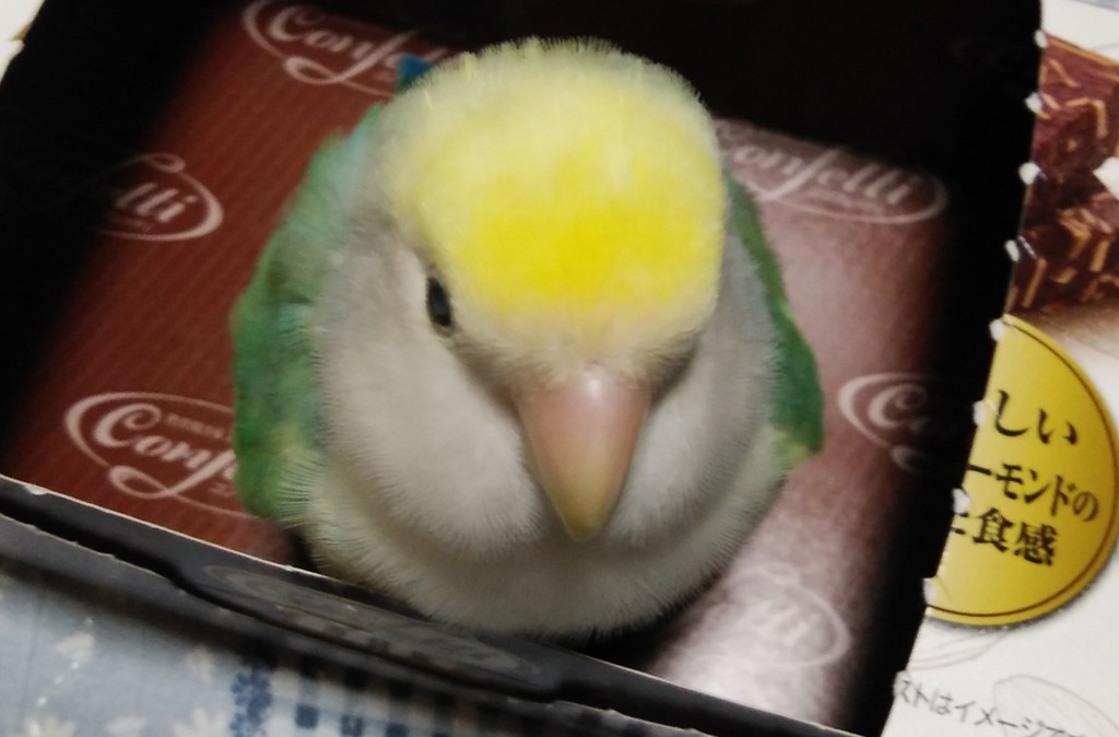 N