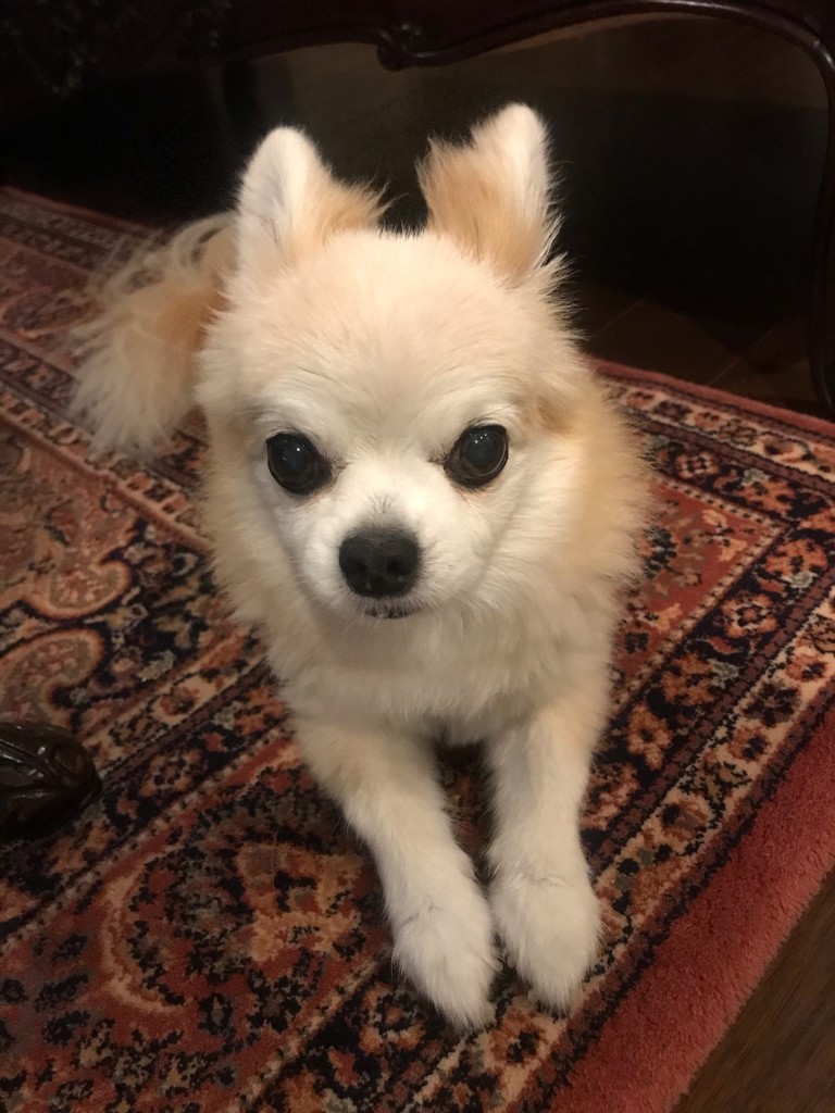 tubu