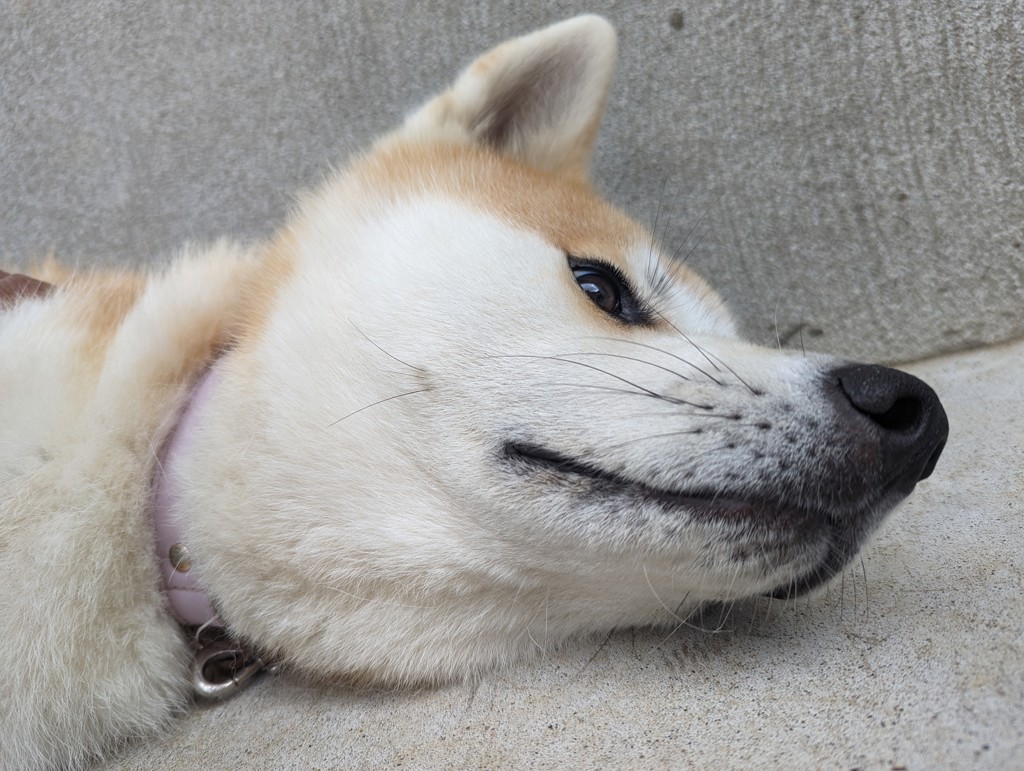 keiko