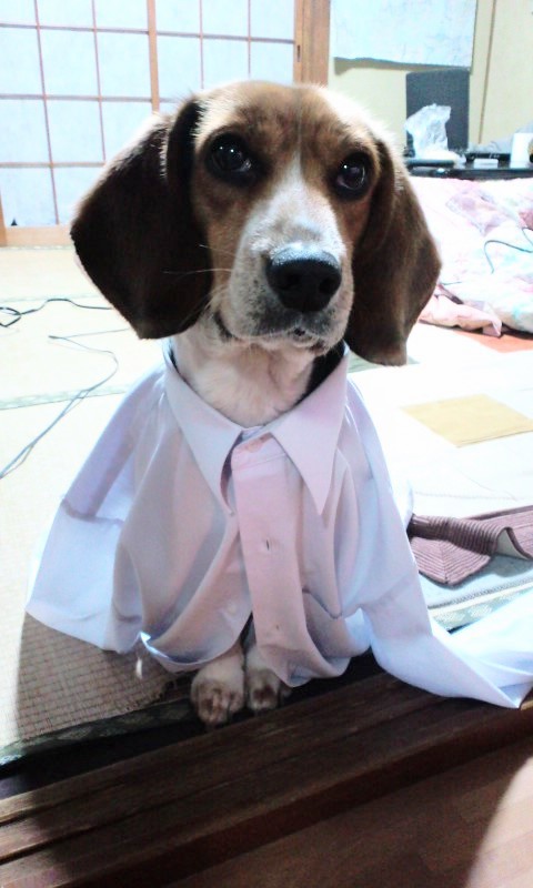 ゆきちゃん