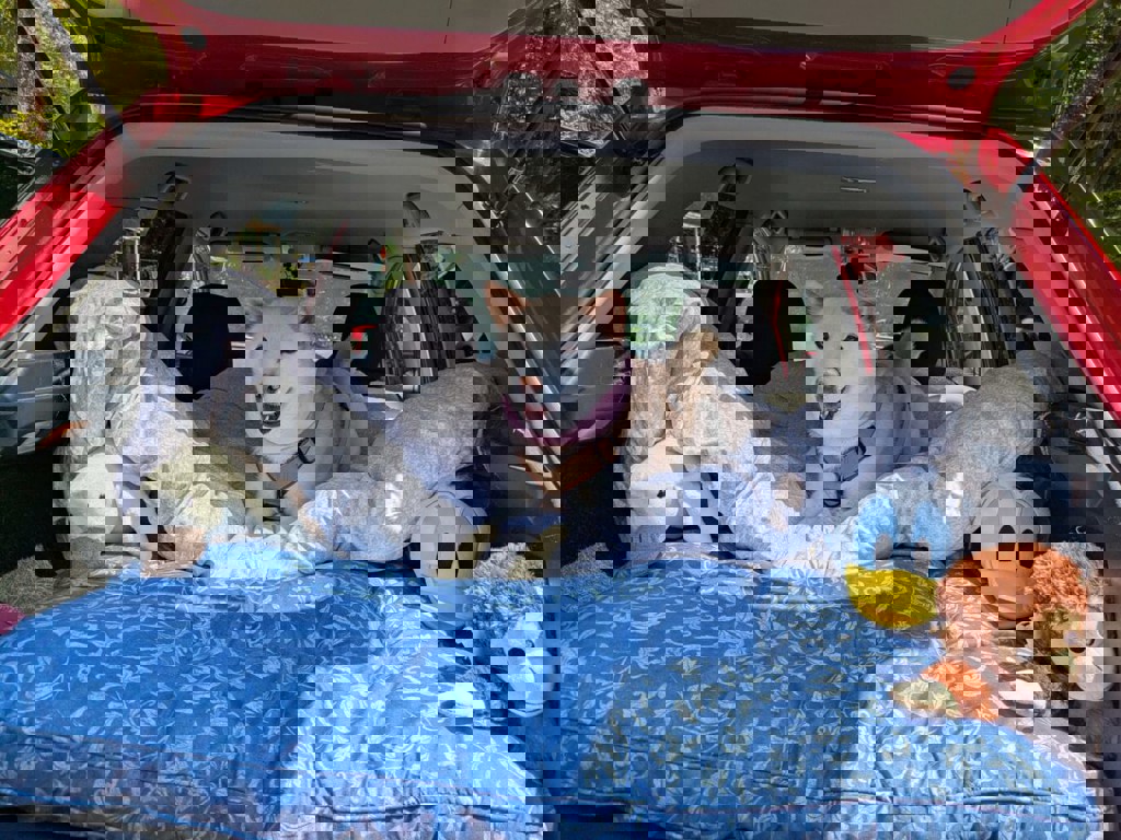 のはらママ