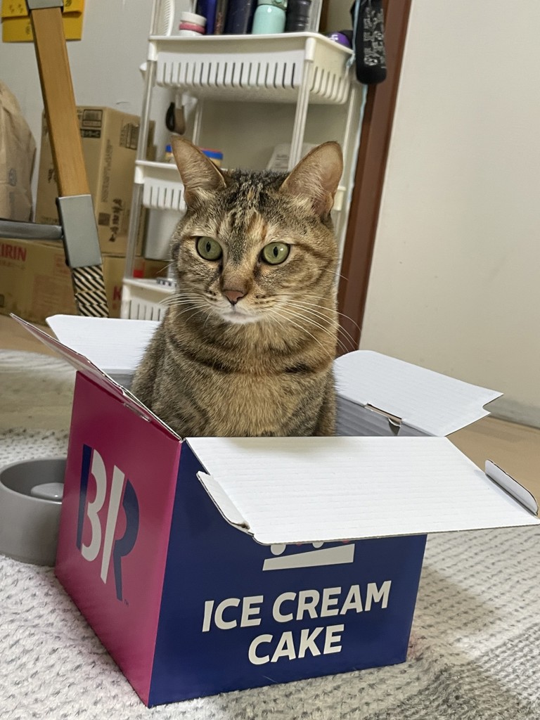 コッコ