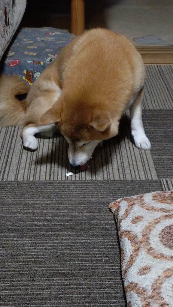 あーちゃりん