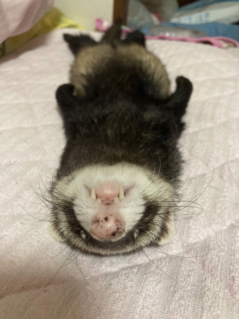 さち