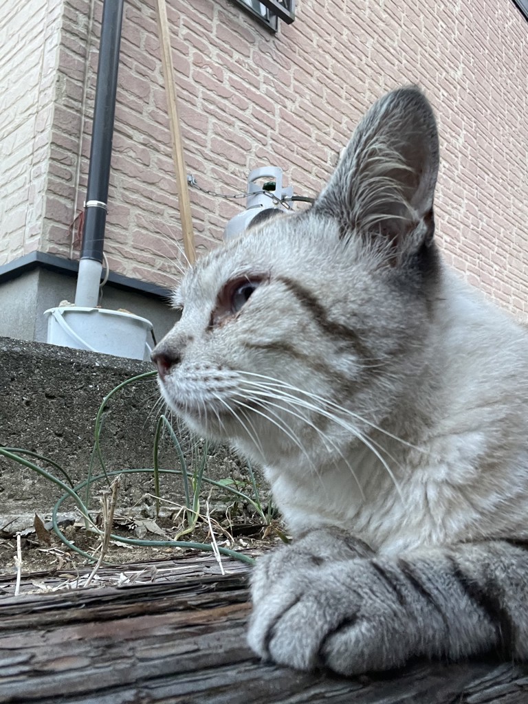 no name