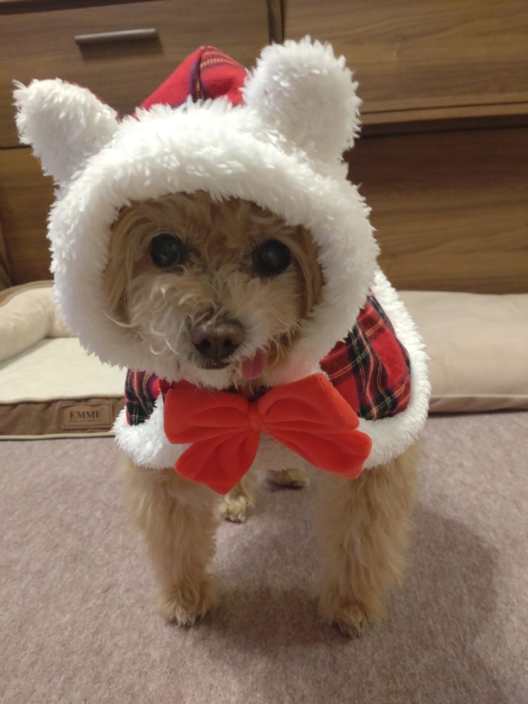 キャンディママ