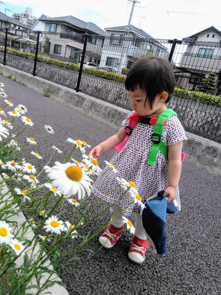 生地 LIBERTY FABRICS リバティ・ファブリックス タナローン