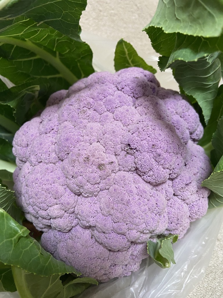 ゆずりんご