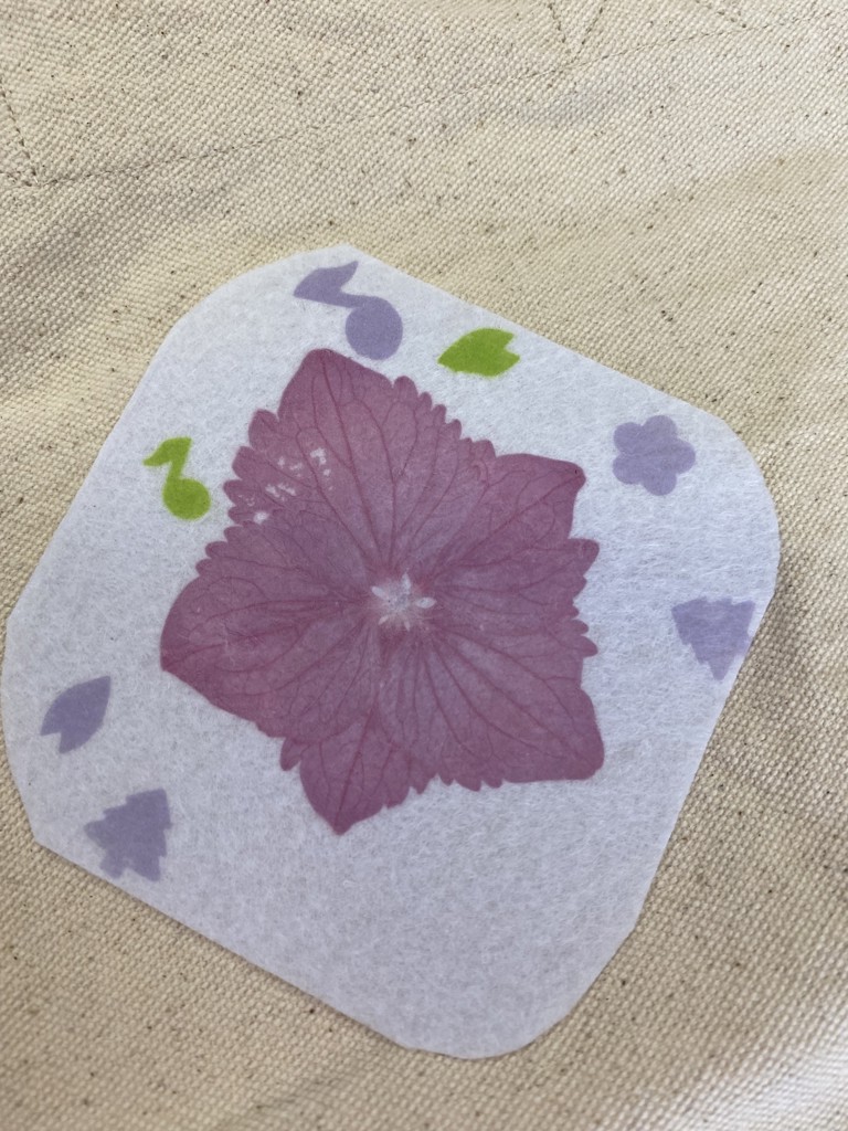 ちーぼう