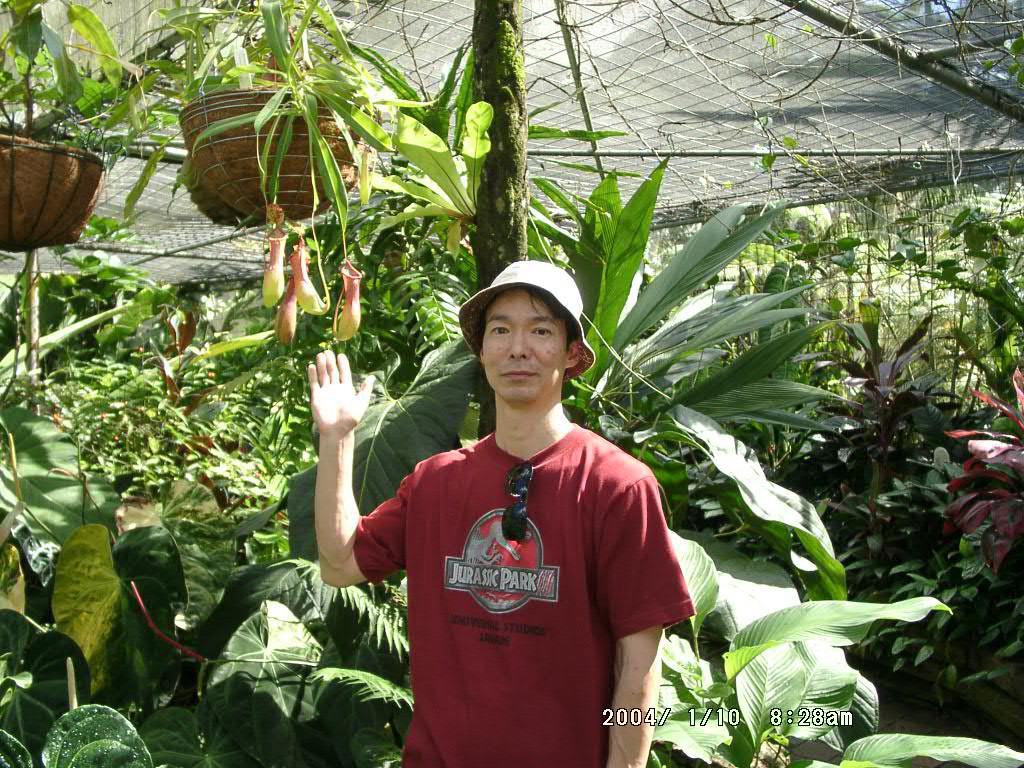 ギフトセット 海の香｜博多の味 明太子のやまや｜公式通販サイト