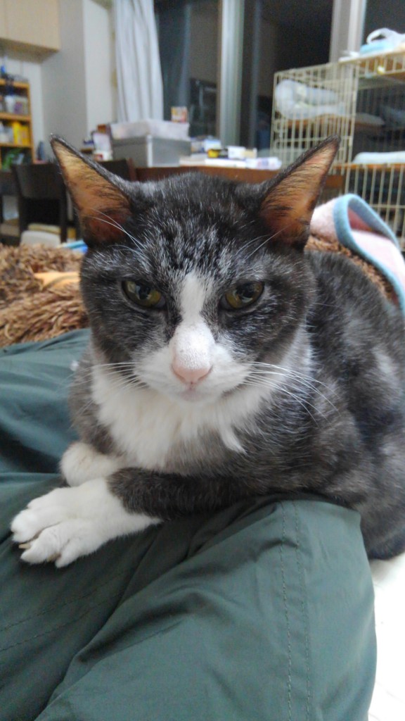 ユーザーアイコン