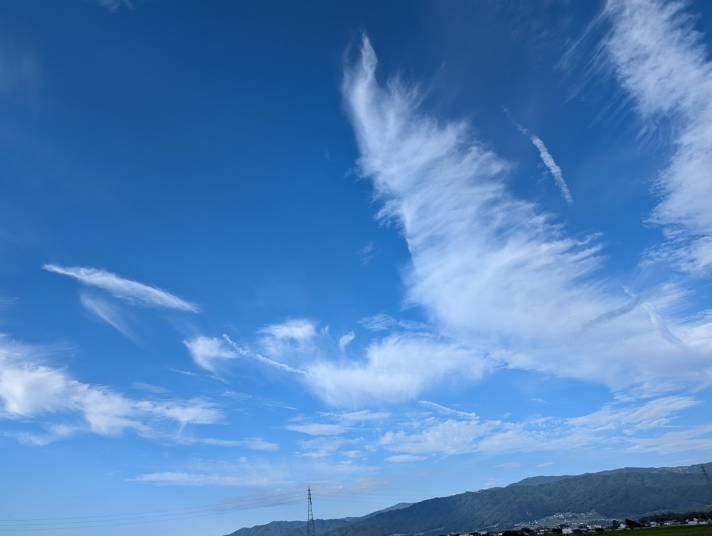なおちん