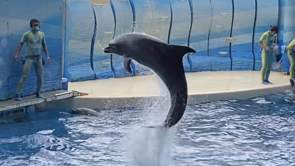 ほっぷすてっぷじゃんぷ