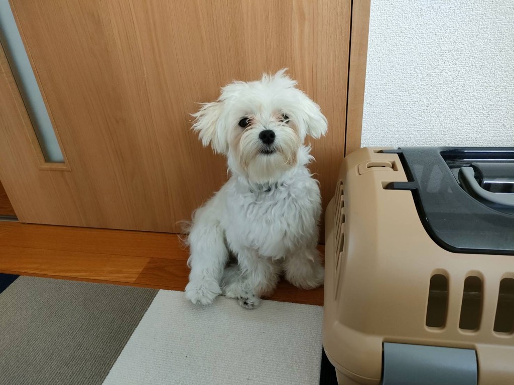 ボビン