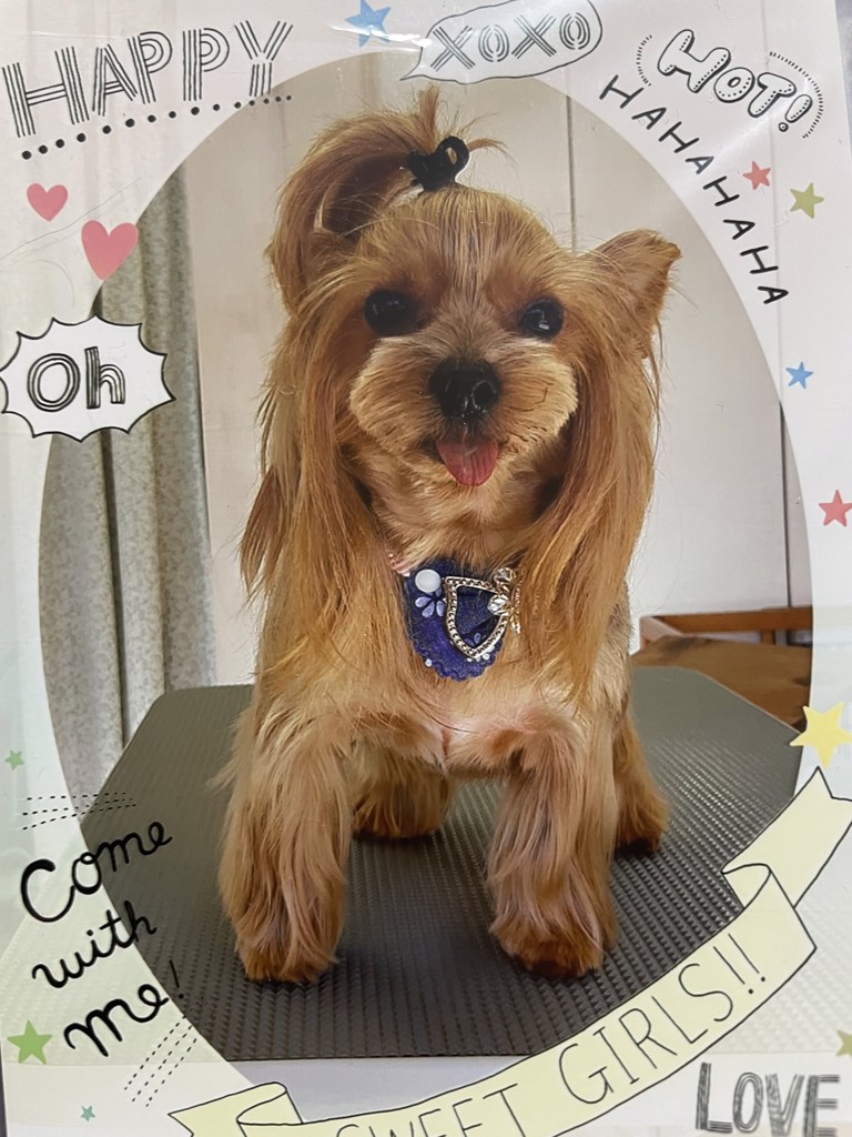おど
