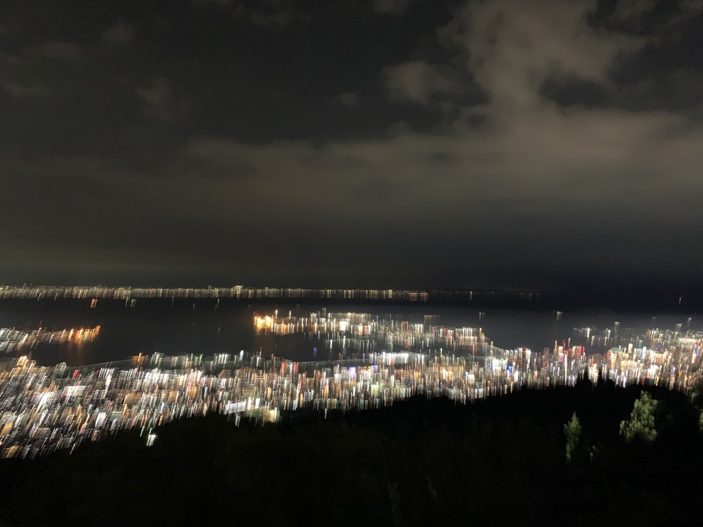 タナカ