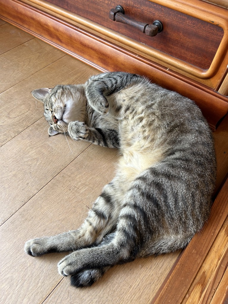 ハオイー