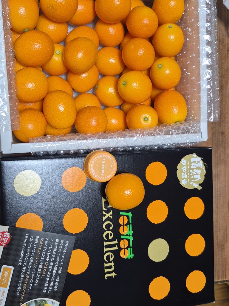 たまたまEXCELLENT 化粧箱1kg（2月以降にお届け）: JAみやざき高千穂