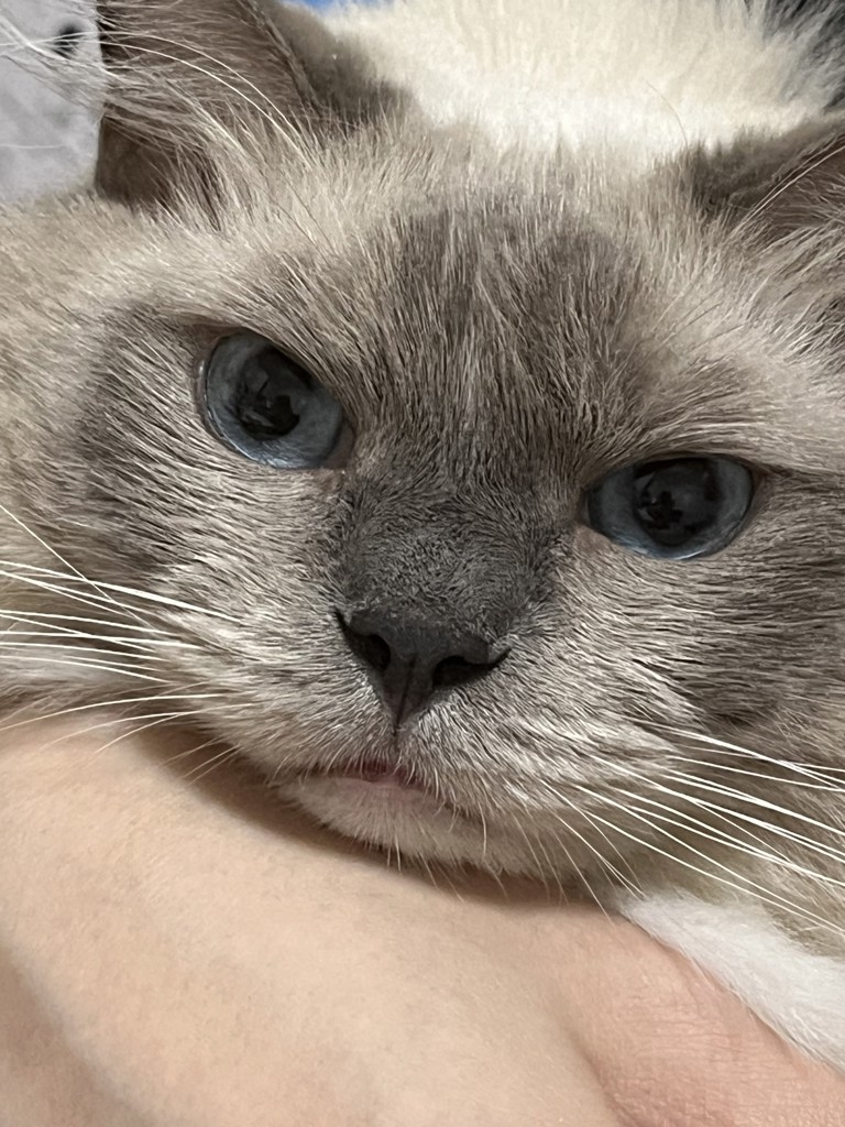 たけ