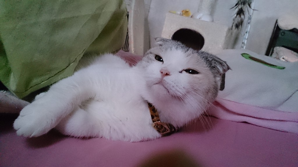 COCO
