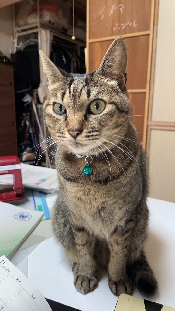 ひなふじ