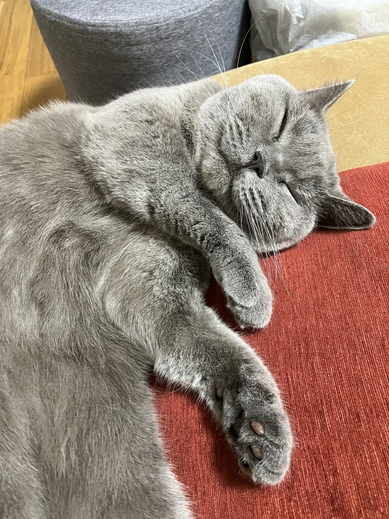 no name