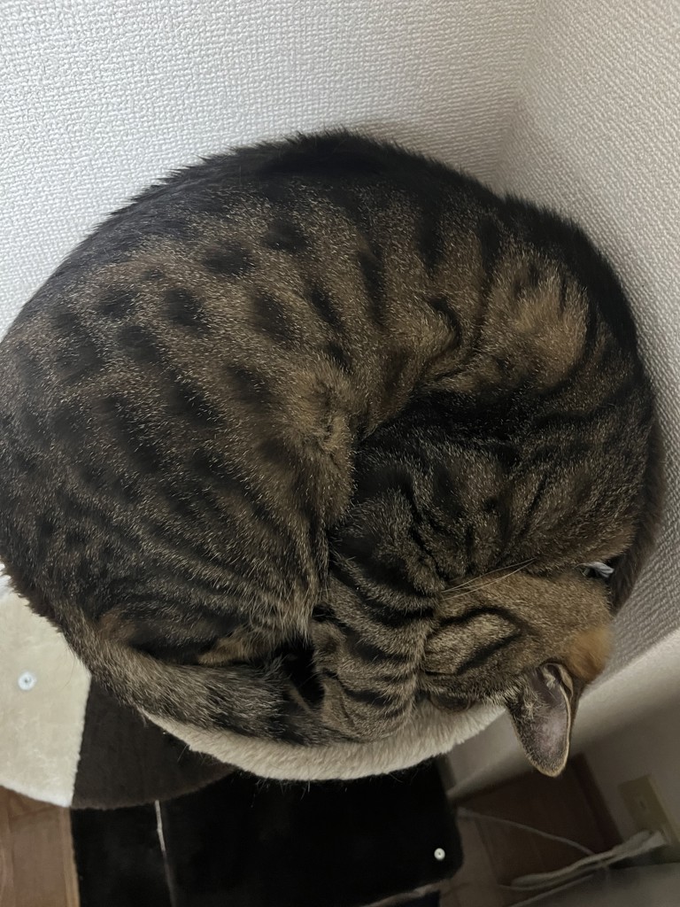 う