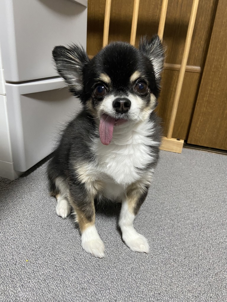 JUN