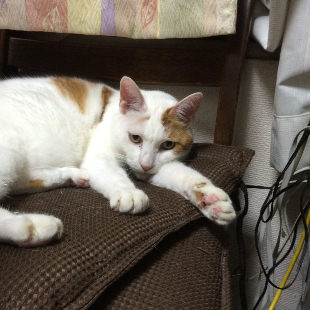 ハギシゲ